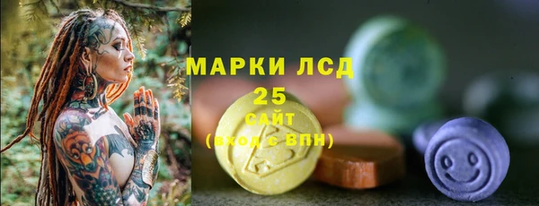 ПСИЛОЦИБИНОВЫЕ ГРИБЫ Богородск