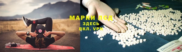 индика Богданович