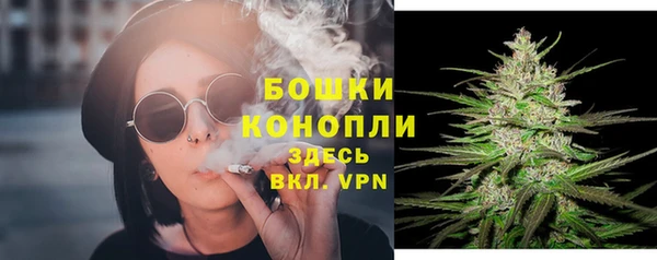 индика Богданович