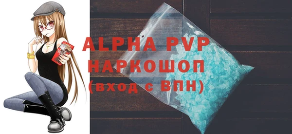 индика Богданович