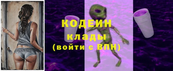 индика Богданович