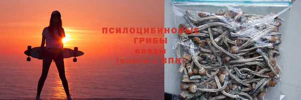 ПСИЛОЦИБИНОВЫЕ ГРИБЫ Богородск