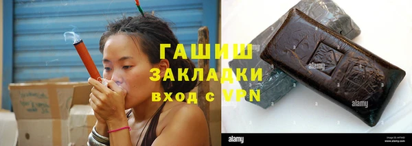 индика Богданович