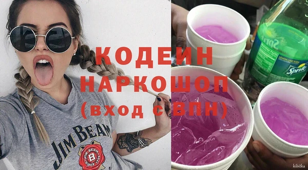индика Богданович