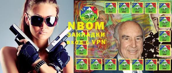 индика Богданович