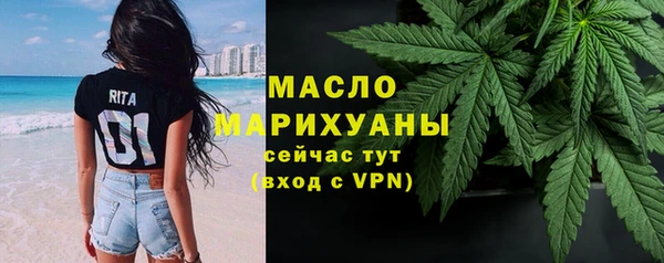 индика Богданович