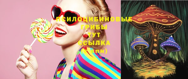 индика Богданович