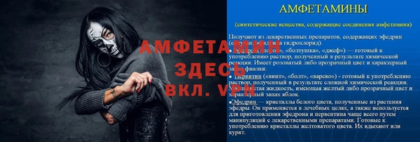 индика Богданович