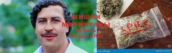ПСИЛОЦИБИНОВЫЕ ГРИБЫ Богородск