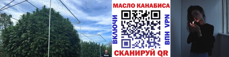 Дистиллят ТГК THC oil  Купить закладки  Сенгилей 