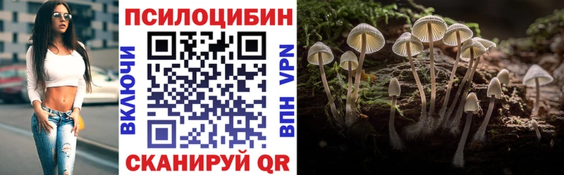 Купить где Сенгилей Псилоцибиновые грибы мицелий